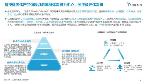2021中國科技適老化產品研究報告 機遇、挑戰與路徑探索